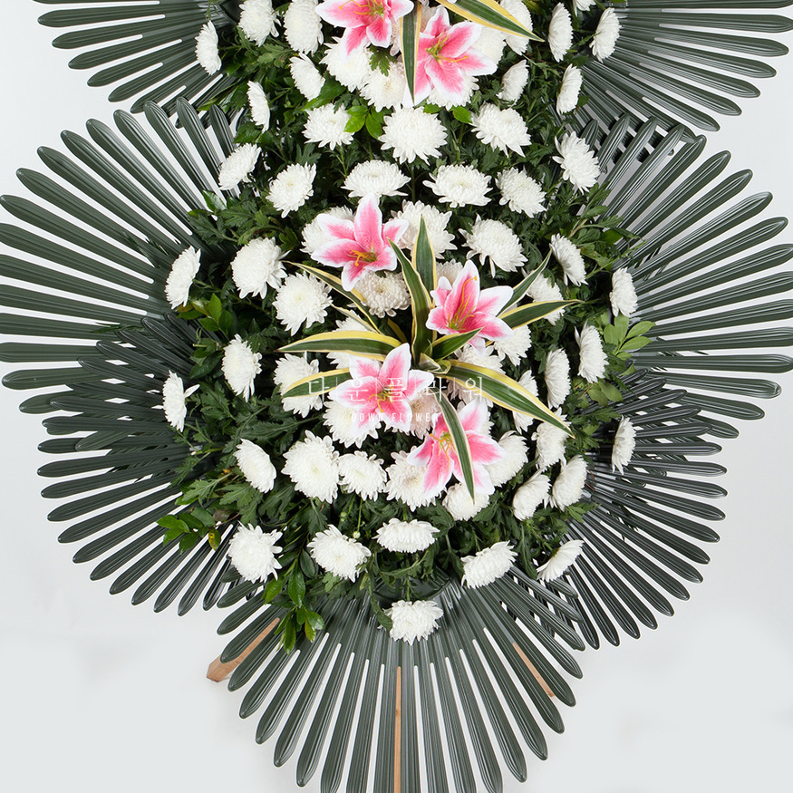 상세이미지