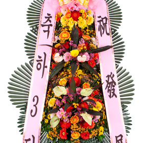 일반축하화환