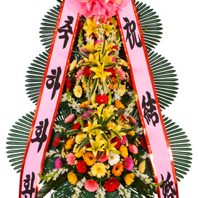 축하포인