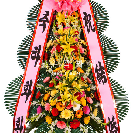 축하포인