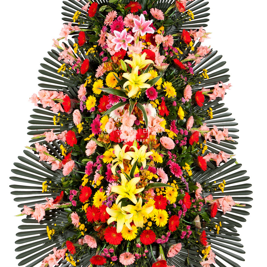 상세이미지