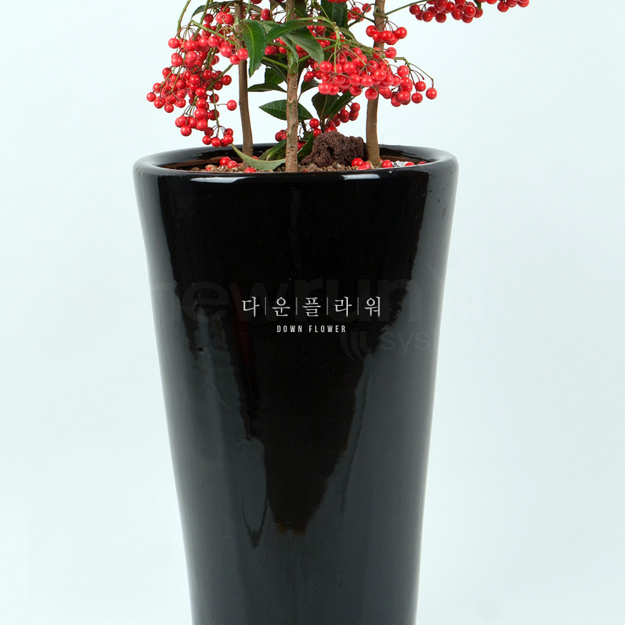 상세이미지