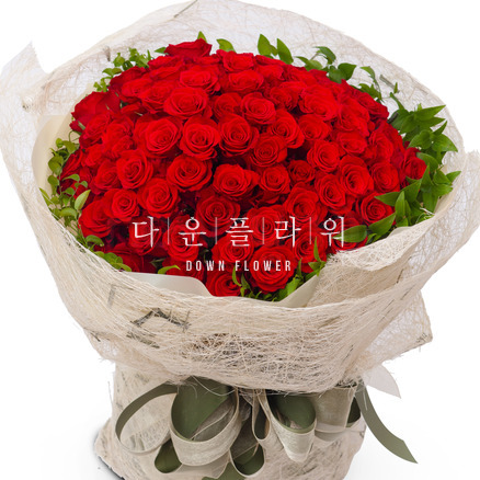 레드100
