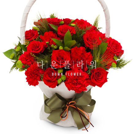 장미레드