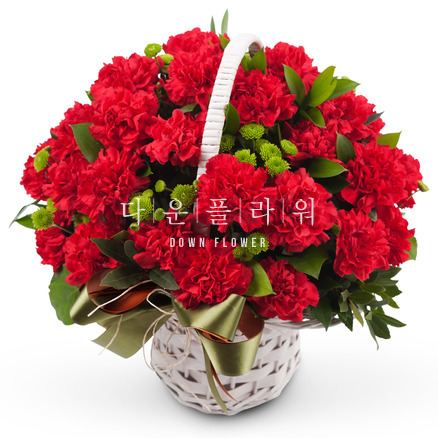 고마워요(어버이날전일/당일은 당일중배송 시간지정x)