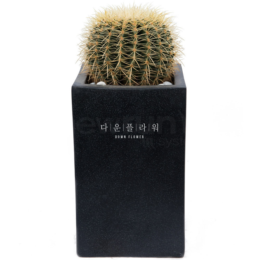 상세이미지