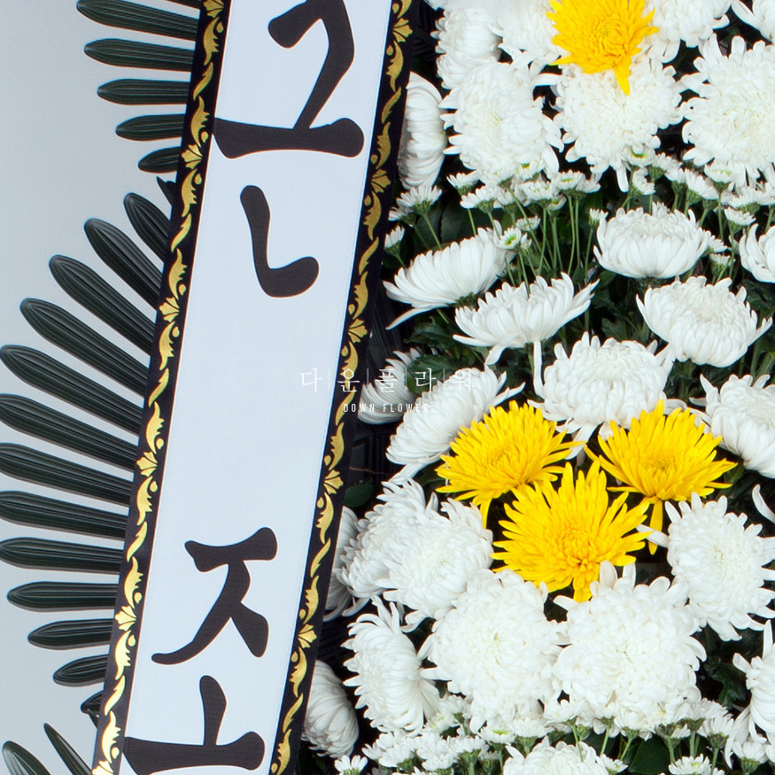 상세이미지