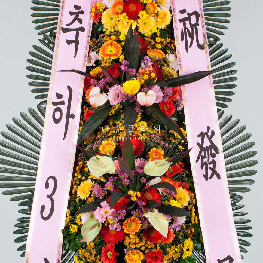 상세이미지
