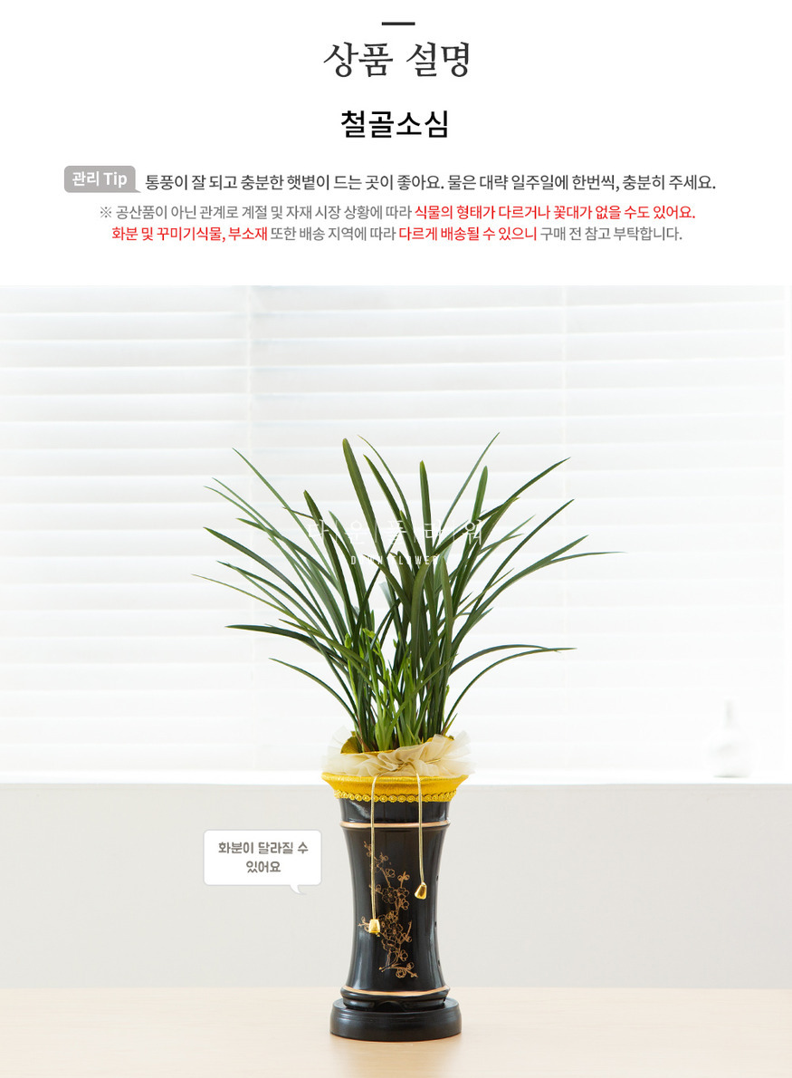 상세이미지