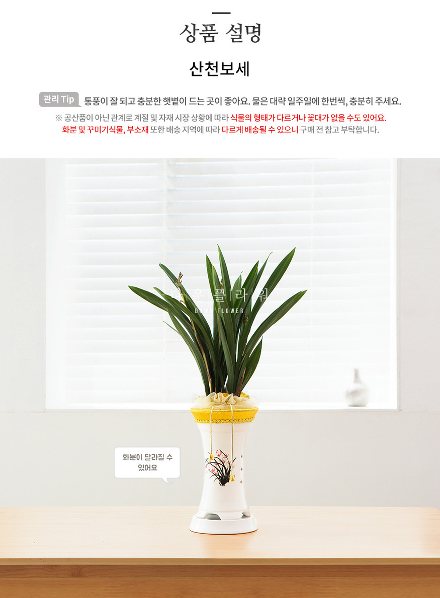 상세이미지