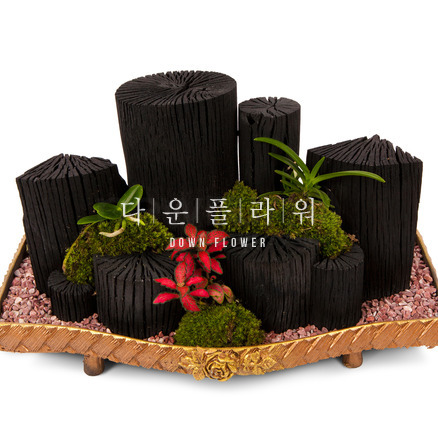 숯부작
