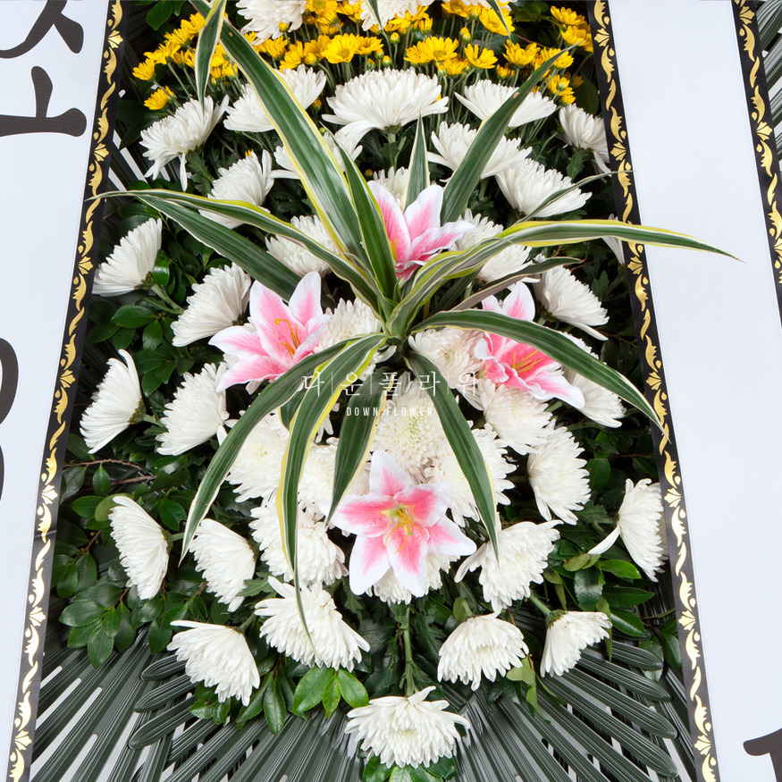상세이미지