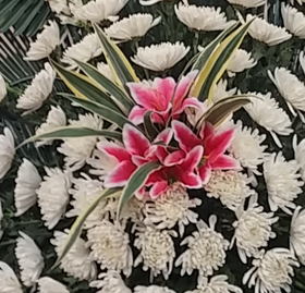 근조포인트