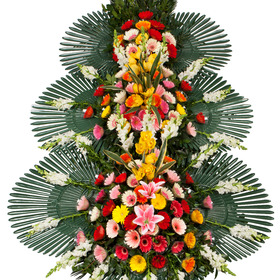 축하합니다